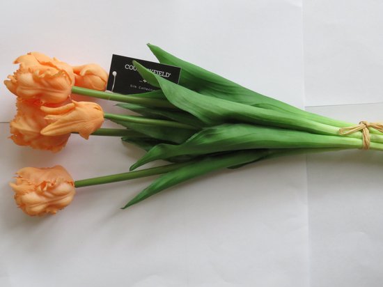 Bouquet de tulipes (perruches) saumon -L16B16H40CM