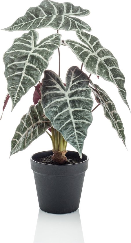 Emerald - Kunstplant in pot Alocasia 40cm - Kunstplant voor binnen
