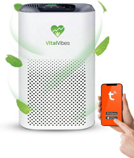 VitalVibes