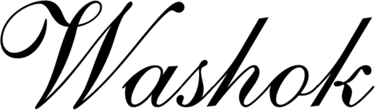 Interieursticker Washok