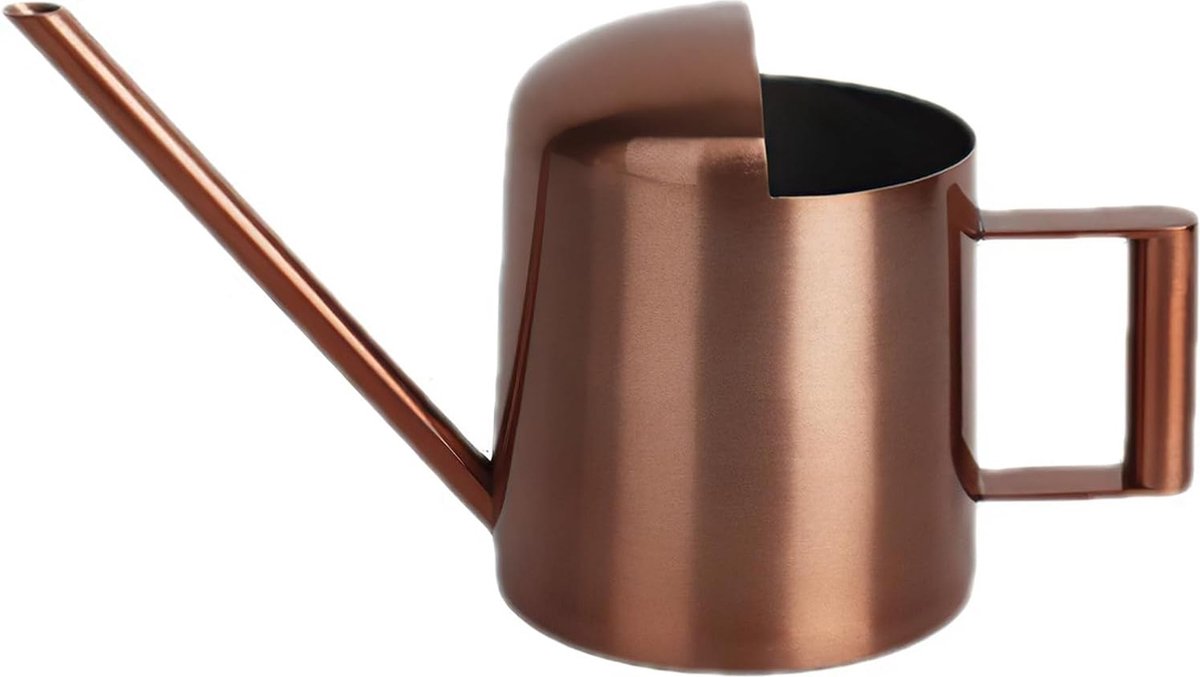 Mini Gieter van 300 ml voor Binnenplanten, Bonsai en Tuinbloemen (Brons)