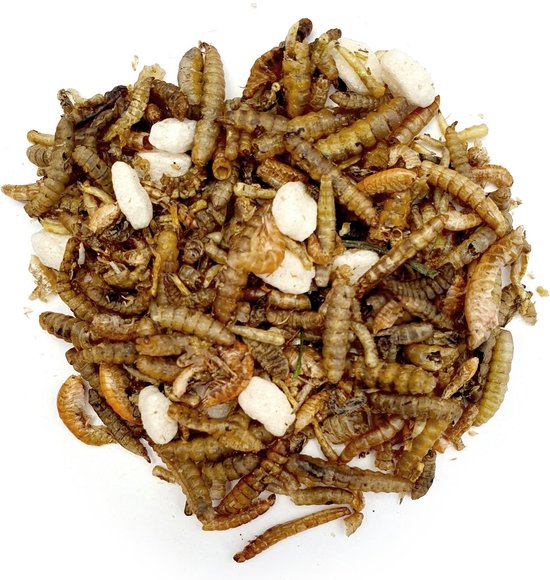 Mélange d'insectes - 2,5 litres - Mélange de poulet - Snack au poulet