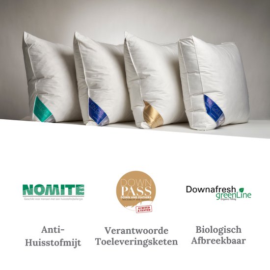 Böhmerwald Driekamer Hoofdkussen 80x80 Cm - 90% Dons Buiten, 100% Veren Binnen, Zacht