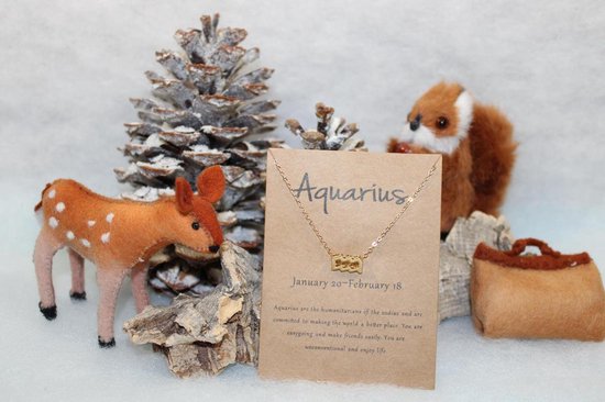 Collier Bixorp Etoiles Waterman / Verseau - Collier Doré sur Carte Cadeau - Pendentif Constellation / Zodiac