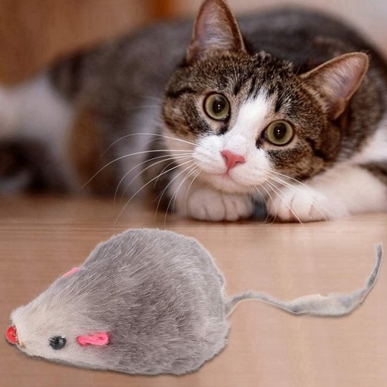 Karlie Kattenspeelgoed Roosterbal met Pluche Muis Pak je voordeel Karlie Kattenspeelgoed Roosterbal met Pluche Muis Pak je voordeel