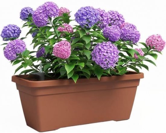 Balkonbak Rechthoekig 61 Cm - 2 Stuks 22 Liter Terracotta Plantenbak Met Afwatering