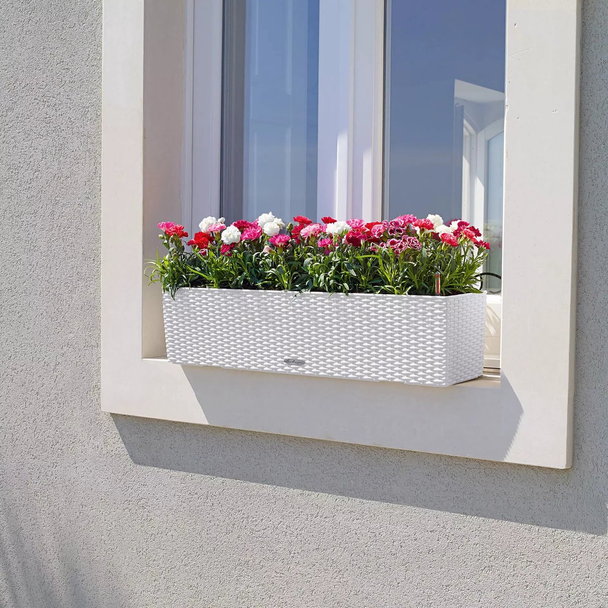 Lechuza Balconera Cottage 80 - Planter - with removable inner pot