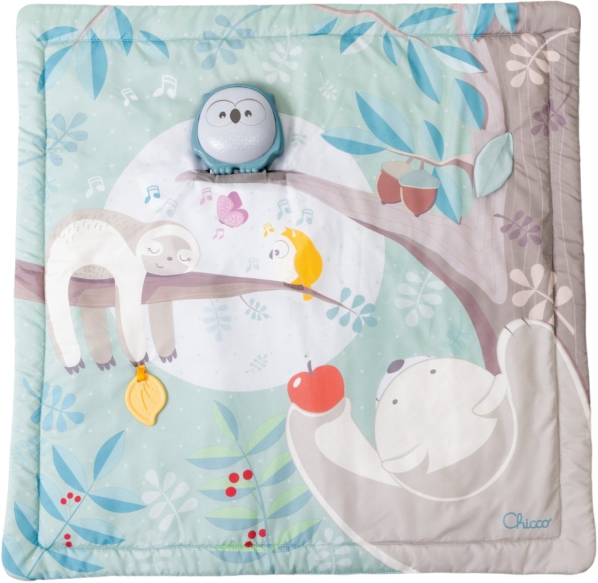 Chicco 2 in 1 relax & play speelmat