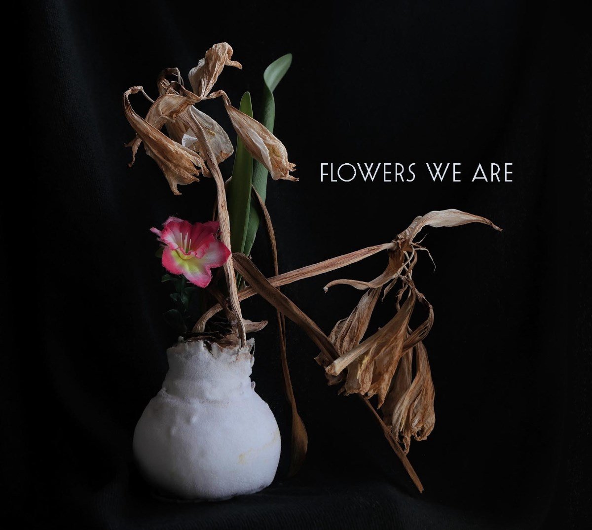 Flowers We Are - Flowers We Are (CD)
