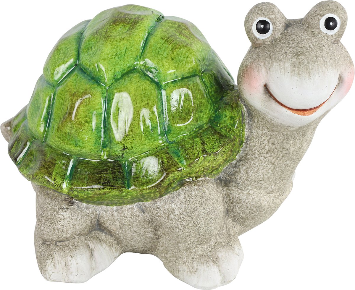 Schildpad Floris M groen