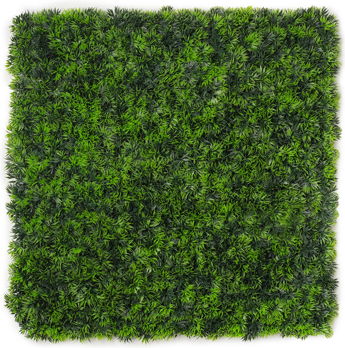 Kunsthaag plantenwand - Planten muur - Voor binnen en buiten - Mos - 50 x 50 cm