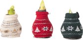 Plant in a Box - Amaryllis - Set van 3 - Hippeastrum 'Christmas Sweater' - Bloembollen - Rode bloemen