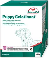 Primeval Artrose Gelatinaat Puppy - 350 gr