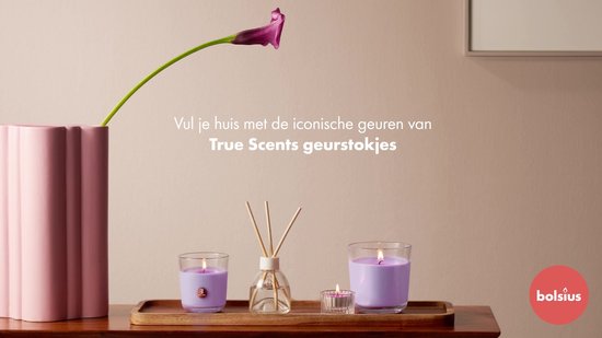 Bolsius - Geurstokjes - Peach - 6 stuks - Voordeelverpakking - 60ml