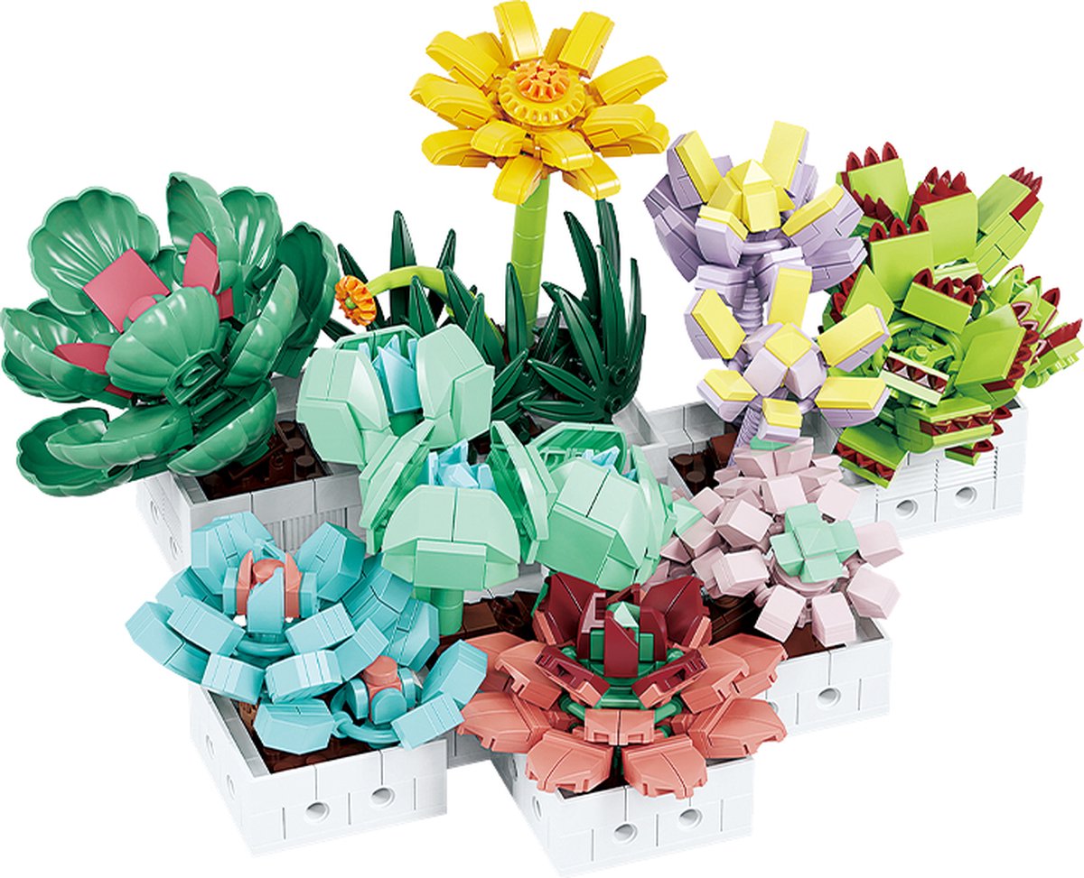 Woma 6 Mini Vet bloemen cactus plantjes bouwset | Botanical flowers collection | Classic Creator STEM speelgoed bloemenpracht modelbouw | Educatief Icons kunst bloemenboeket bouwpakket voor volwassenen & kinderen | geschikt voor Lego | 977 bouwstenen
