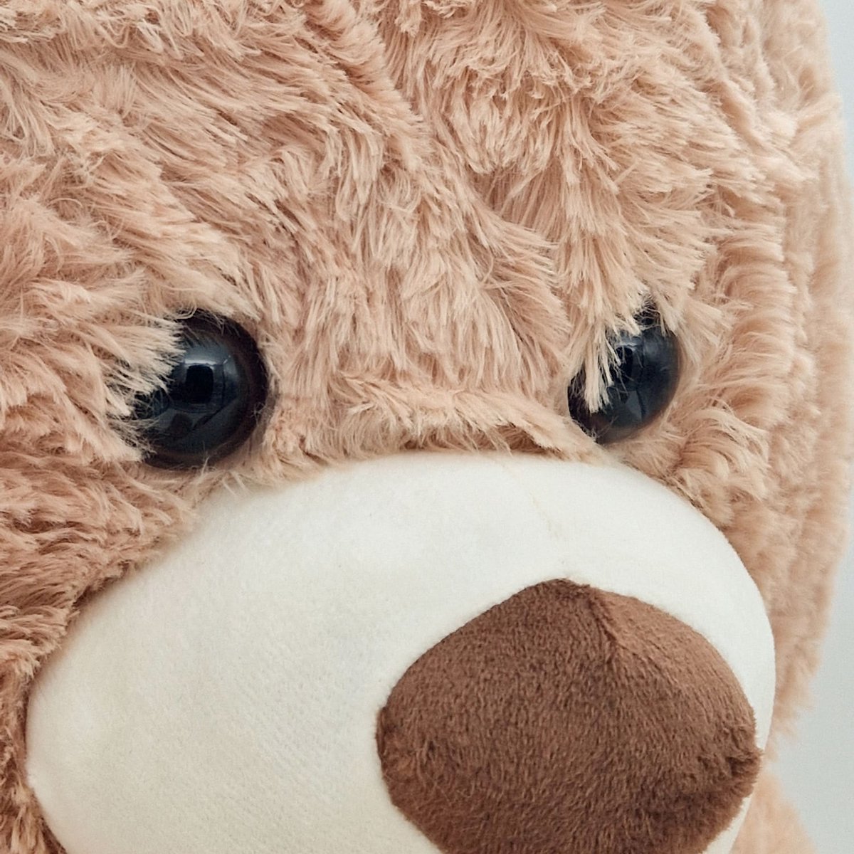 XL Knuffel Beer - Teddybeer - Knuffels - Pluche Beer - 50cm Hoge Kwaliteit Knuffeldier - Teddybear Groot - Knuffelbeer — afbeelding 4