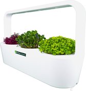 Urban Cultivator MicroBuddy – Kit de culture d'intérieur compact avec lampes de culture LED et système hydroponique pour légumes frais et riches en nutriments à la maison