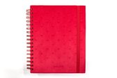 Mascha planner - Pop of Red