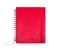 Mascha planner - Pop of Red