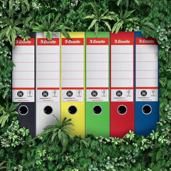Set van zes Esselte ordners in verschillende kleuren: zwart, wit, geel, groen, rood en blauw, omringd door planten.
