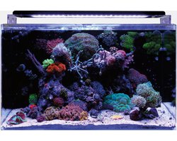 Blue Marine Reef 160 Aquarium | 160L | 57 x 77 x 41,5 CM