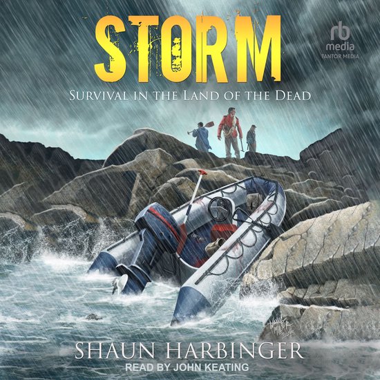 Storm - cover