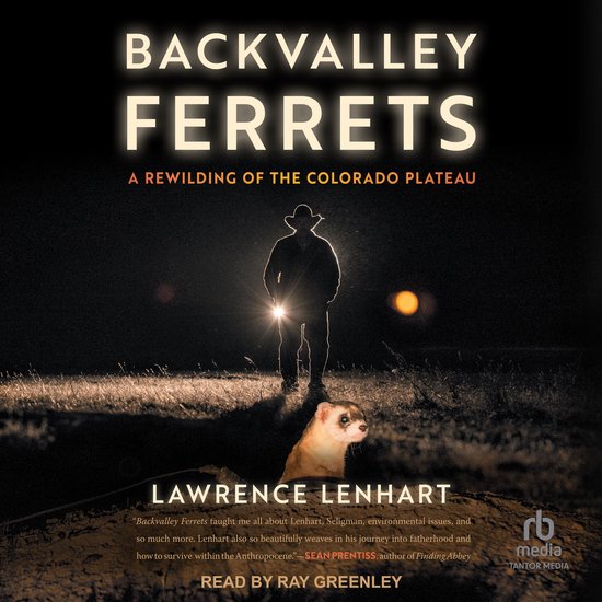 Backvalley Ferrets - cover