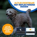Een lichtbruine hond met een zwarte halsband met reflecterende strepen loopt in het gras. Twee inzetstukken tonen de reflecterende streep 's nachts en overdag.