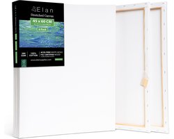 Elan Canvasdoeken 45x60 CM - 6 stuks 100% katoen voor schilderen