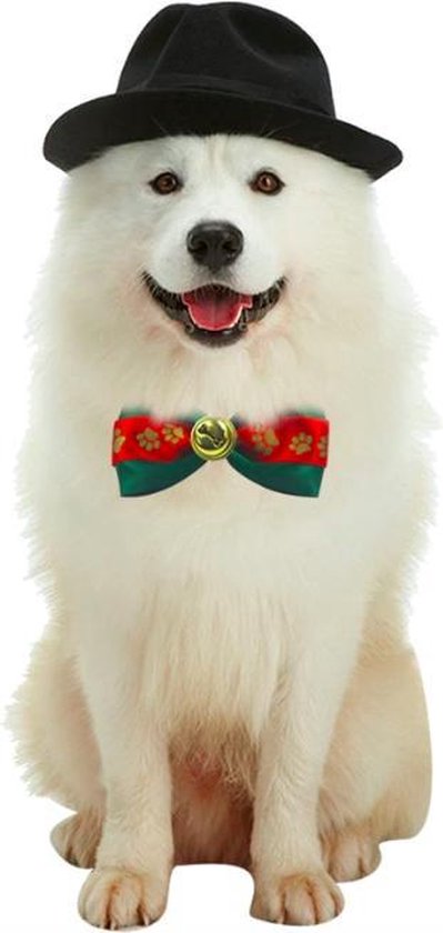 comfort Sociale wetenschappen Gewoon Kerstkleding Strik Hond - Dierenkleding - Rood/Groen | bol.com