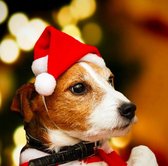 Kerstmuts Met Touwtje Hond/Kat - Dierenkleding - Rood/Wit