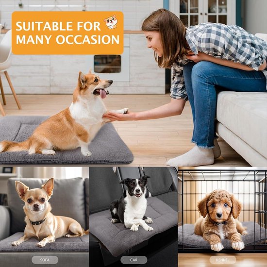 PetFusion Premium Extra Grote Hondendeken XL (152x122 Cm) - Omkeerbaar Grijs Micro Plush - Zacht, Duurzaam & Wasbaar