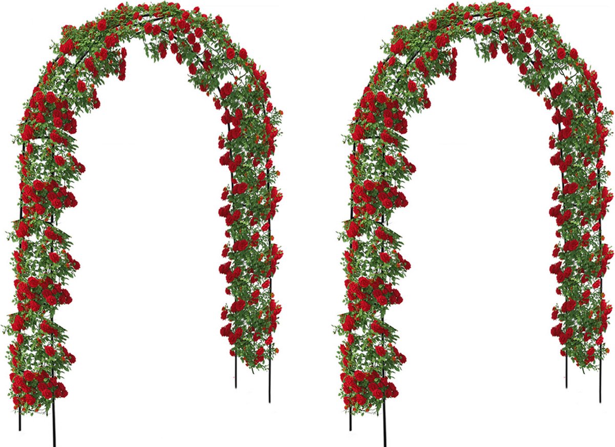 Brixy - Set van 2 Rozenbogen - Tuinbogen - Rankhulp - Bloemenbogen - Voor klimplanten - Metaal - 240 x 140 x 38 cm per stuk - Zwart
