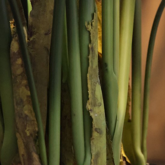 Plante artificielle Water Canna 120 cm