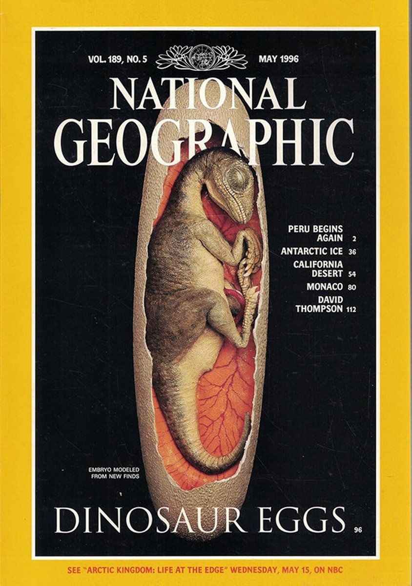 NATIONAL GEOGRAPHIC MEI1996 EDITIE ENGELS TIJDSCHRIFT (DINOSAUR EGGS)