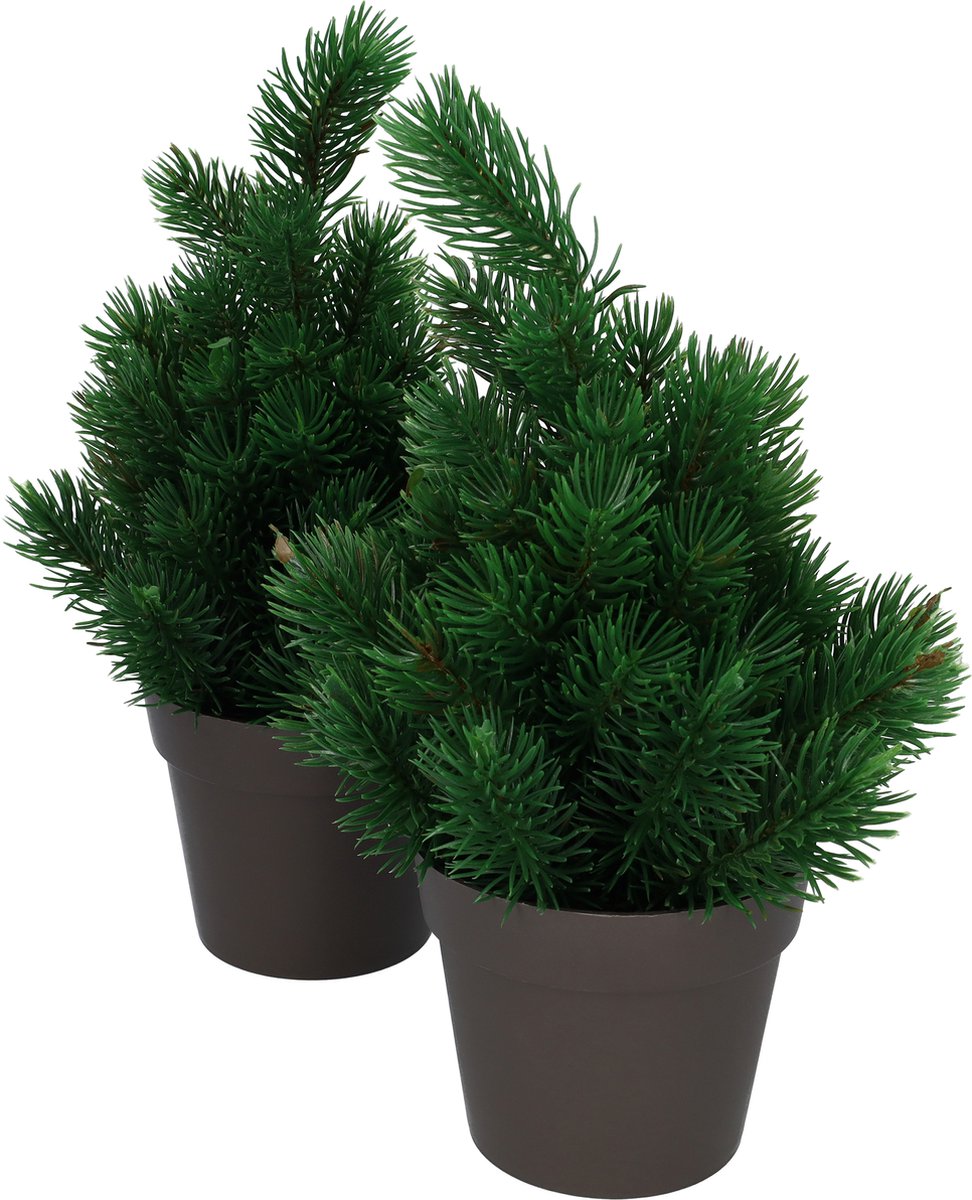 Mini kerstboom - Kerstboompje - Kerstversiering - Kerstdecoratie voor binnen - Leuk aan te kleden met kerstverlichting - Ideaal met kerstboomverlichting - Set van 2 - Leuke sfeermakers in huis
