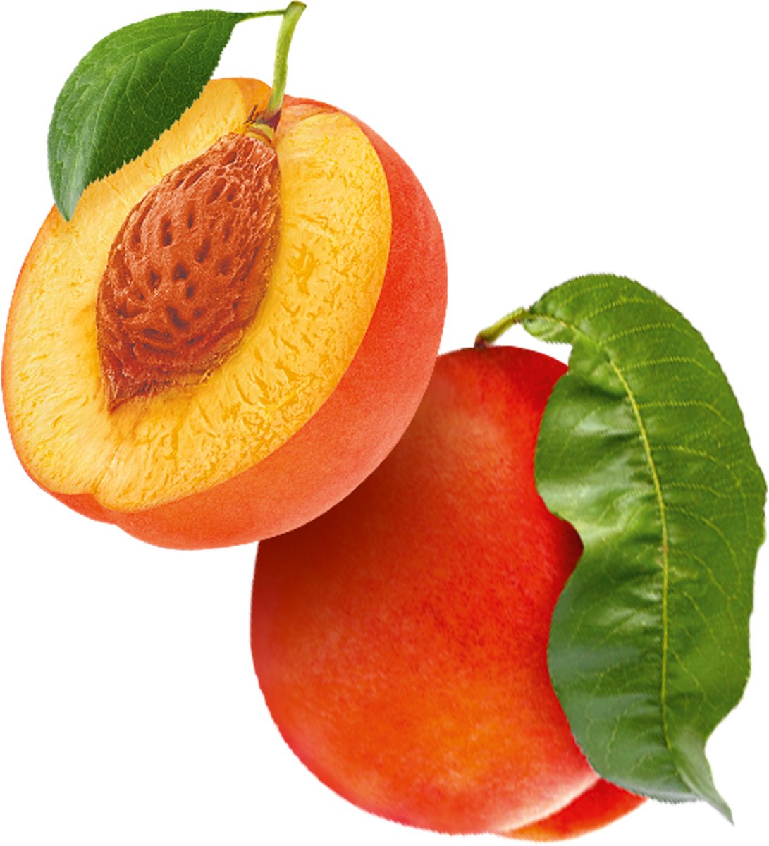 Guhl Heerlijke Verzorging Shampoo 250ML