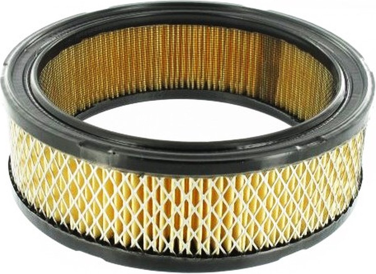 Luchtfilter Vanguard motor 2cilinder