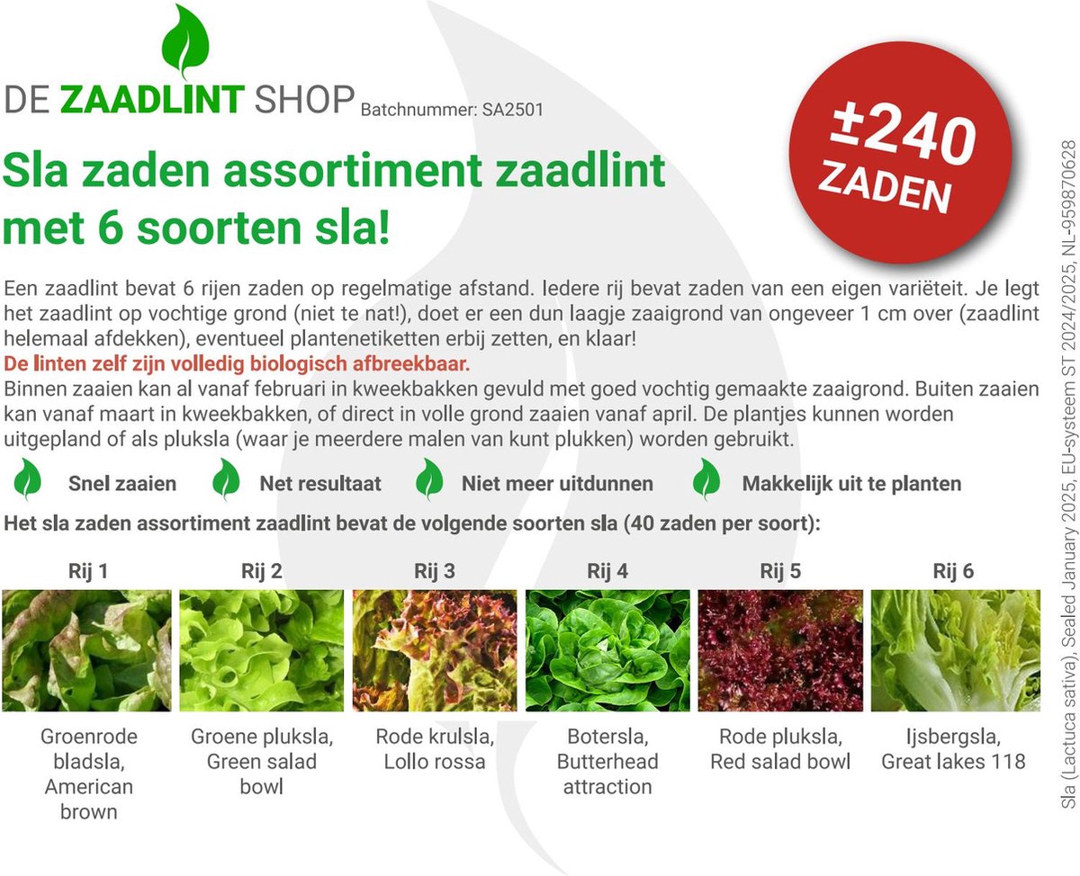 Légumes Chou - Lot 2 - Graines De 5 Espèces De Plantes Potagères