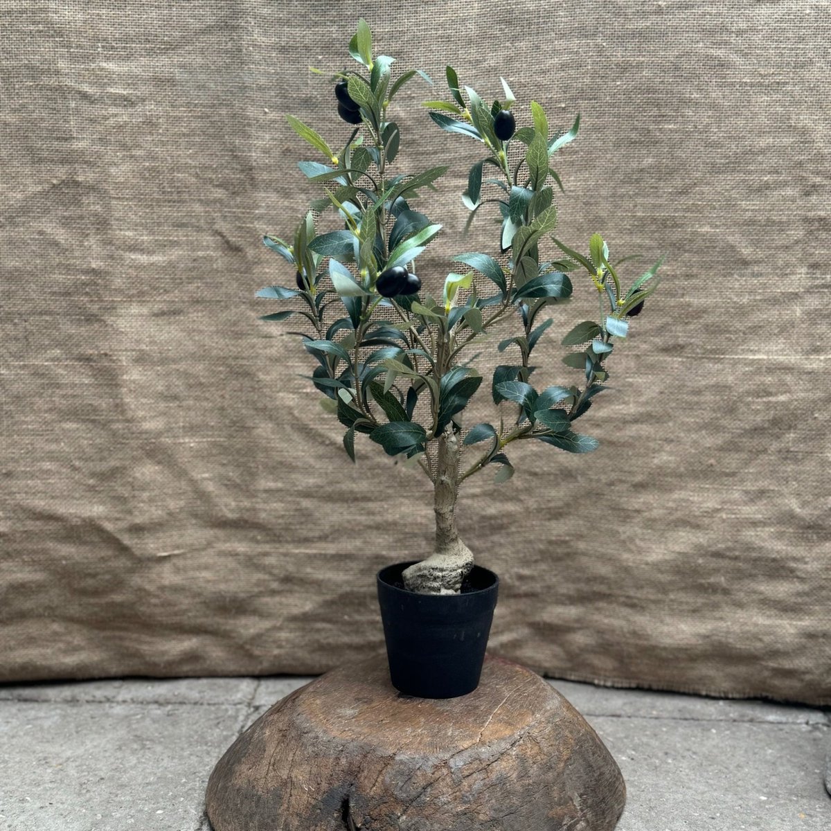 Kunst olijfboompje - Kunstplanten - Olijf - Olea - Olijfboom