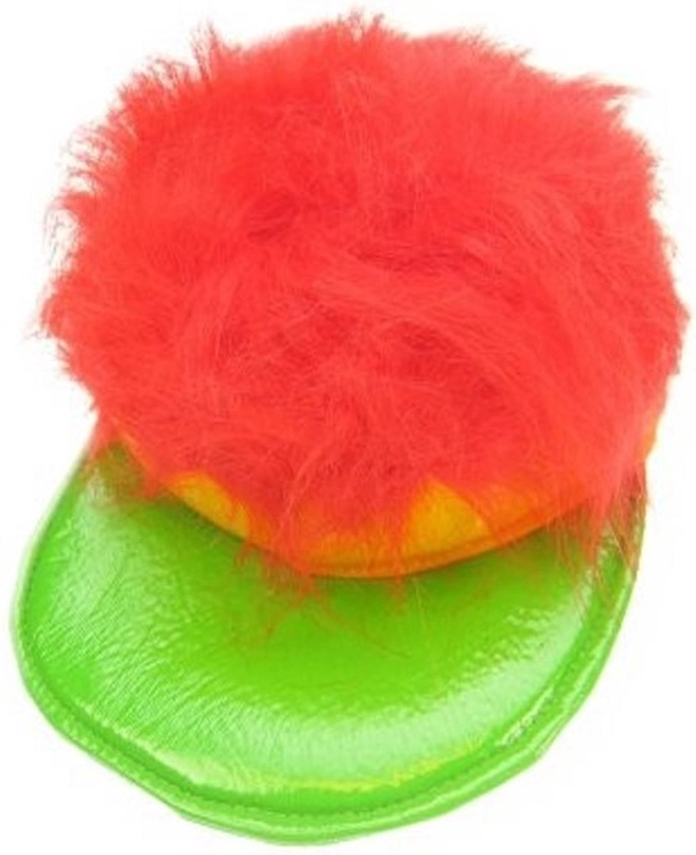 Harig fun pet met klep carnaval.