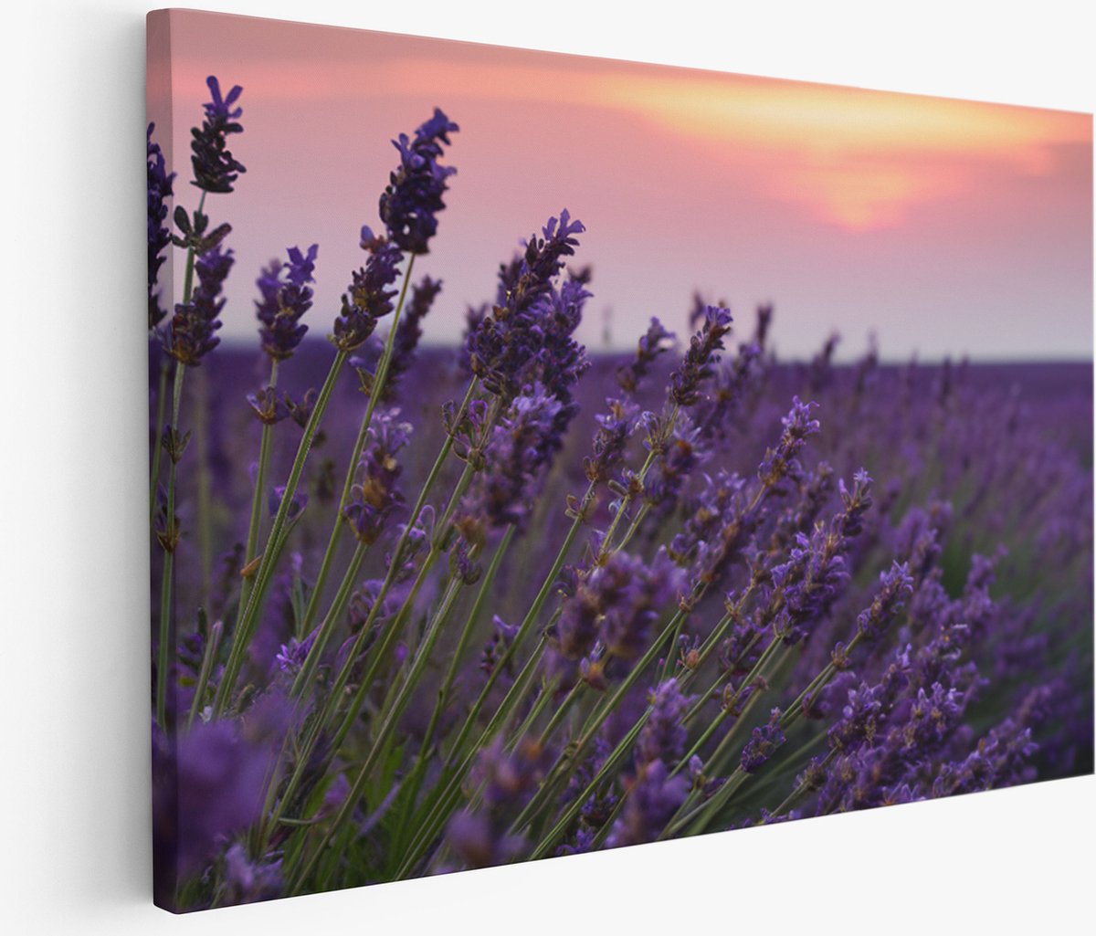 Saammp Muurcirkel Hout - Witte Bloemen in een mooie vaas - Stilleven - Abstract - Ø 90 - Wandcirkel - Wanddecoratie Cirkel - Muurdecoratie Woonkamer - Woonkamer Decoratie