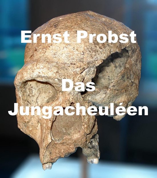 Das Jungacheuléen - cover