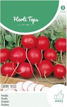 Hortitops Zaden - Radijs Cherry Belle