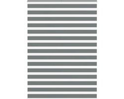 vidaXL - Zebra - rolgordijn - 165x200 - cm - stofbreedte - 160,9 - cm - donkergrijs