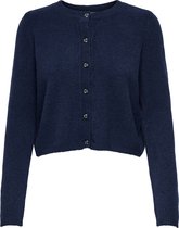 JDY - JDYCHLOE L/S CARDIGAN KNT NOOS Dames Trui