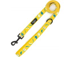 Vibfy Hondenriem Avocado - Hondenlijn - Uitlaatriem Hond - 160 cm - Sterke Leiband - Geel