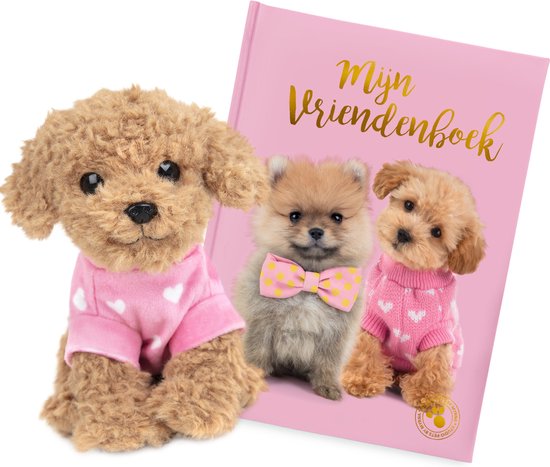 Studio Pets Livre d'amis Puppy + peluche caniche Cookie 16 cm
