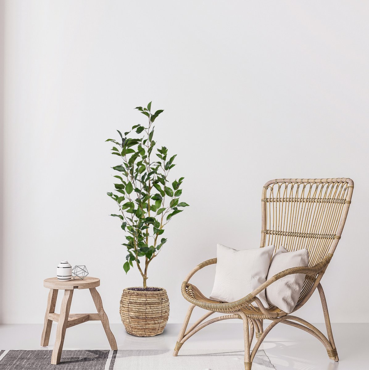 maxifleur Kunstplanten Ficus Exotica Kunstplant NT 100cm Groen