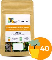 Bruine verpakking met Tryptomera logo. '10 miljoen aaltjes', 'LARGE', '40 planten 20 m²'.